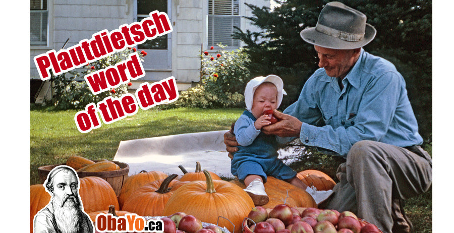 Plautdietsch word of the day: ommäajlich