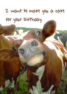 Make A Cake - Funny Birthday Card - ObaYo.ca